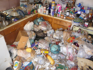 Hoarder house kitchen before cleanup